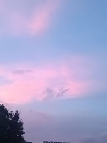 你好，我是一只鬼