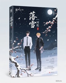 落雪——轮回