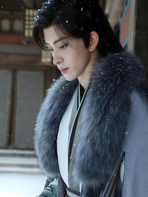 朝雪录：公子世无双