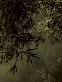 蝶恋花：昔日情事