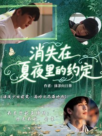 消失在夏夜里的约定