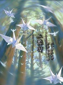 二拾四