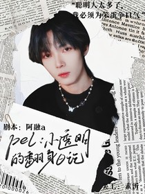 pel：小透明的翻身日记