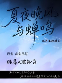 一夏夜晚风与蝉鸣一
