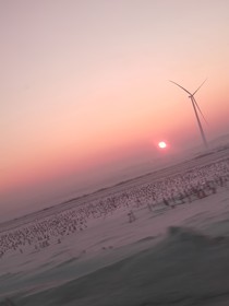 狗日的青春（虚构）