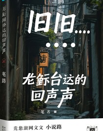 旧巷深处的回声