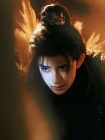 朝雪录：蝶痛春