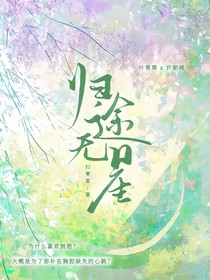歸途無星