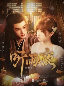 朝雪录：听雨夜