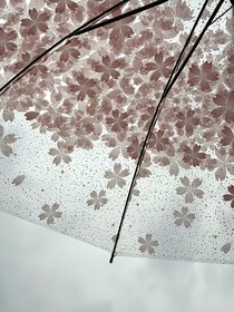 恋爱总是不过脑