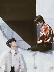 信息素交锋