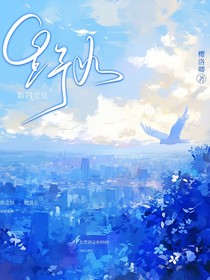 数码宝贝df：野火