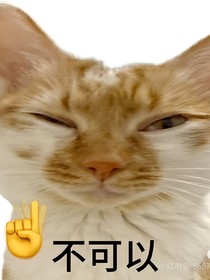kpl：不許亂來