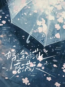 暗逢雨花落满天