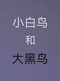 小白鸟和大黑鸟