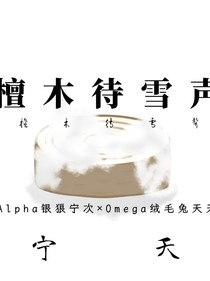 檀木待雪聲