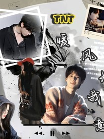 TNT：暖风知我意