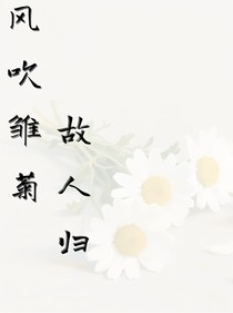 风吹雏菊故人归