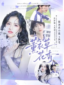 杨博文：薰衣草花香