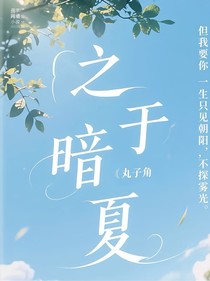 之于暗夏