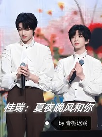 桂瑞：夏夜晚風(fēng)和你