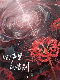 回声里的告别