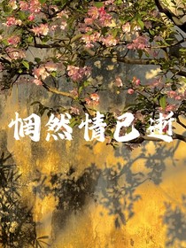 惘然情已逝
