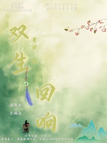 双生回响