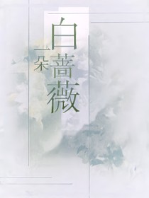 一朵白薔薇