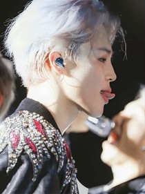 BTS：玫瑰黄昏