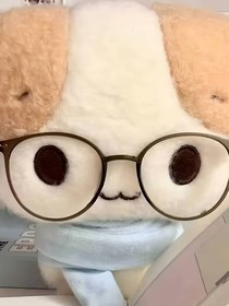 猴探聊天群