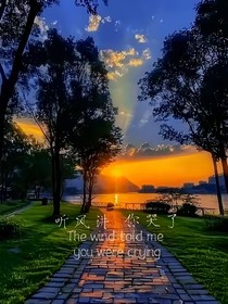 聽(tīng)風(fēng)講你哭了