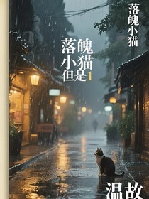 落魄小貓但是1
