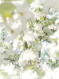 靈脈：我承受了太多
