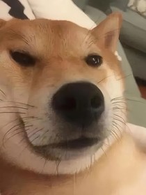 不好看的書