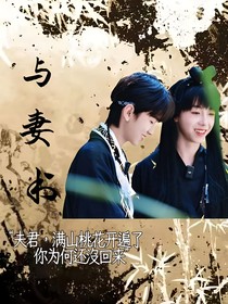 奇文：与妻书