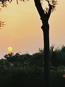 李昀銳：她念便是春