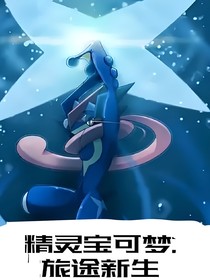 精靈寶可夢(mèng)：旅途的新生
