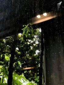 看着你流泪的眼睛