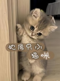她像只小貓