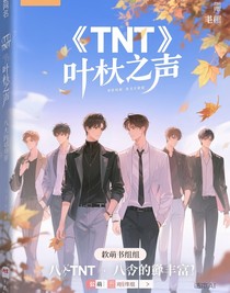 TNT叶落无声