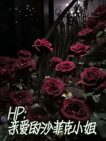 HP：親愛的沙菲克小姐