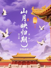 山月映归期