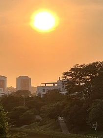 人偶師的契約書