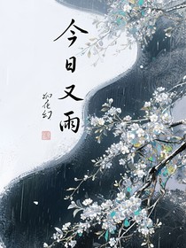 今日又雨