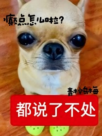 癫点怎么了？