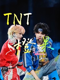 TNT：酸橙澀果