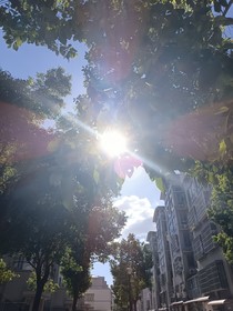 向陽也向陽