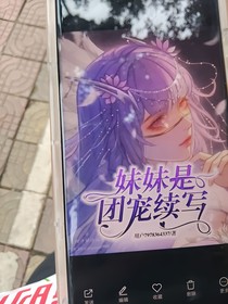 妹妹是团宠续写