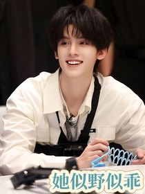 top登陆少年团：似野似乖